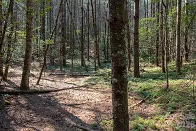 Tbd Ritter Ridge Lane #27, Collettsville, NC 28611 - Photo 34