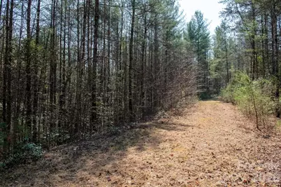 Tbd Ritter Ridge Lane #27, Collettsville, NC 28611 - Photo 42