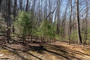 39 Oak Hollow Dr, Asheville, NC 28805 - Photo 44