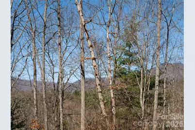 39 Oak Hollow Drive #23, Asheville, NC 28805 - Photo 42