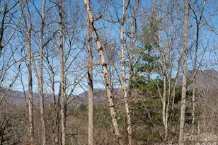 39 Oak Hollow Dr, Asheville, NC 28805 - Photo 42