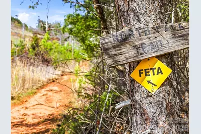 286 Preservation Trail, Columbus, NC 28722 - Photo 8