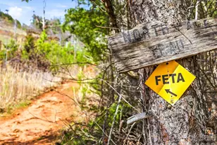 286 Preservation Trail, Columbus, NC 28722 - Photo 8