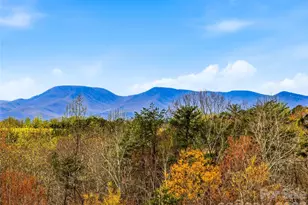 286 Preservation Trail, Columbus, NC 28722 - Photo 2