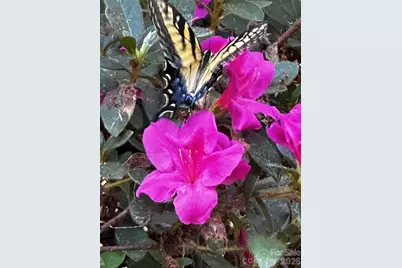 5006 Warbler Way, Lake Wylie, SC 29710 - Photo 40