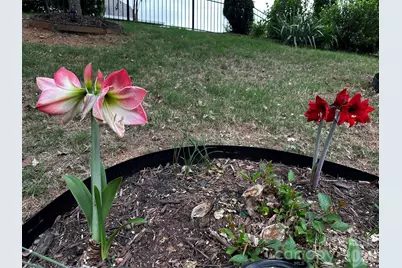 5006 Warbler Way, Lake Wylie, SC 29710 - Photo 38