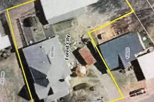 335 Harmon St, Forest City, NC 28043 - Photo 48