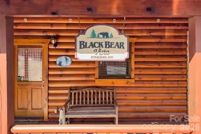 398 Waterfall Drive, Marion, NC 28752 - Photo 4