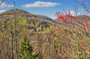 398 Waterfall Dr, Marion, NC 28752 - Photo 40