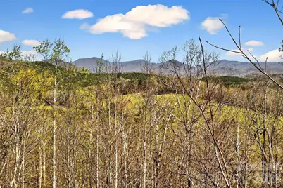 398 Waterfall Drive, Marion, NC 28752 - Photo 10