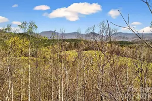 398 Waterfall Dr, Marion, NC 28752 - Photo 10