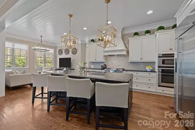 12514 Wood Warbler Drive, Charlotte, NC 28278 - Photo 10