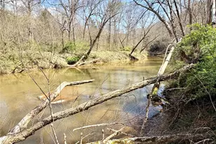 1218 Wittenburg Rd, Taylorsville, NC 28681 - Photo 2