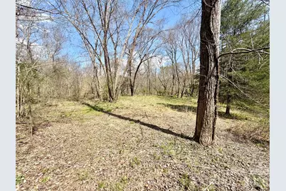 1218 Wittenburg Road, Taylorsville, NC 28681 - Photo 6