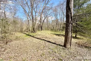 1218 Wittenburg Rd, Taylorsville, NC 28681 - Photo 6