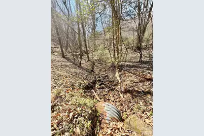 1218 Wittenburg Road, Taylorsville, NC 28681 - Photo 4