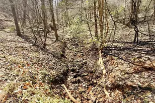 1218 Wittenburg Rd, Taylorsville, NC 28681 - Photo 4