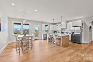 5 Agape Acres Dr, Leicester, NC 28748 - Photo 12