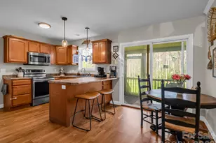 22 Macks Way, Hendersonville, NC 28739 - Photo 10