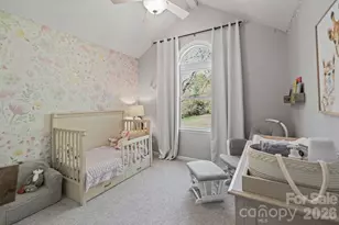 110 Steuben Dr, Huntersville, NC 28078 - Photo 24