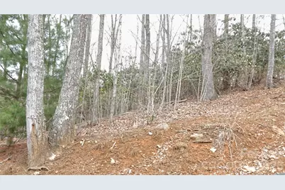 Tbd Vineyards Retreat Road #14, Newland, NC 28657 - Photo 1