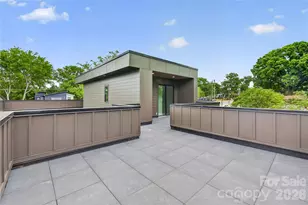 850 Belmont Ave, Charlotte, NC 28205 - Photo 38