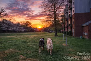 2338 Yadkin Ave, Charlotte, NC 28205 - Photo 30