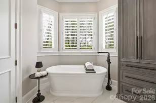 11808 Pleasant Wyatt Pl, Charlotte, NC 28277 - Photo 22