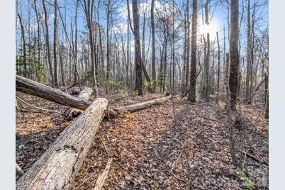 Tbd Mountain Lakes Drive #460, Tryon, NC 28782 - Photo 6