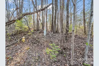 Tbd Mountain Lakes Drive #460, Tryon, NC 28782 - Photo 4