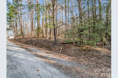 Tbd Mountain Lakes Drive #460, Tryon, NC 28782 - Photo 8