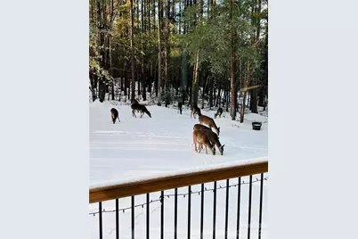 334 Arbra Mountain Way, Bostic, NC 28018 - Photo 24