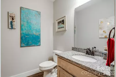 319 Morning Air Lane, Hendersonville, NC 28792 - Photo 24