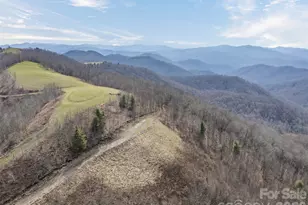 1007 Turkey Trot Rd, Clyde, NC 28721 - Photo 42