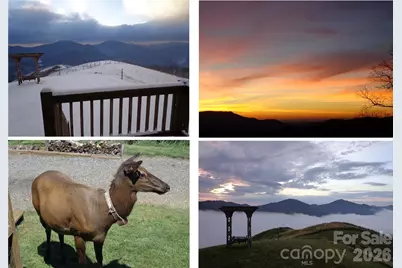 1007 Turkey Trot Road, Clyde, NC 28721 - Photo 2