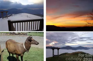 1007 Turkey Trot Rd, Clyde, NC 28721 - Photo 2