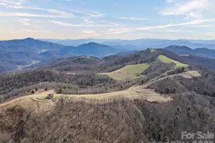 1007 Turkey Trot Rd, Clyde, NC 28721 - Photo 44