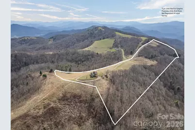 1007 Turkey Trot Road, Clyde, NC 28721 - Photo 8