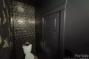 13231 Fiore Pl, Huntersville, NC 28078 - Photo 16