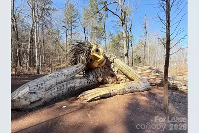 3212 Drift Street, Charlotte, NC 28278 - Photo 26