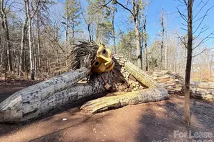 3212 Drift St, Charlotte, NC 28278 - Photo 26