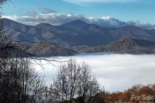 1541 Utah Mountain Rd, Waynesville, NC 28785 - Photo 32