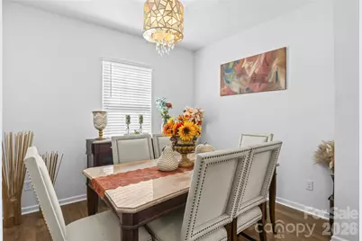 138 Cherry Birch Street, Mooresville, NC 28117 - Photo 10