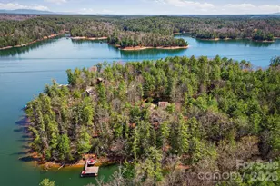 2007 Old Wildlife Club Drive, Nebo, NC 28761 - Photo 44