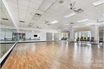 49015 Gladiolus Street, Indian Land, SC 29707 - Photo 30