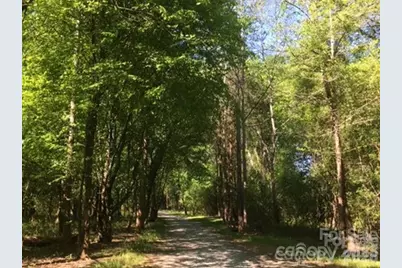 49015 Gladiolus Street, Indian Land, SC 29707 - Photo 46