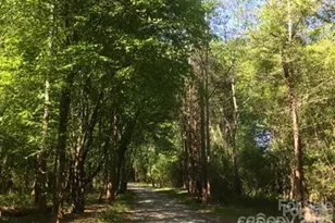 49015 Gladiolus St, Indian Land, SC 29707 - Photo 46