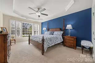 49015 Gladiolus St, Indian Land, SC 29707 - Photo 12