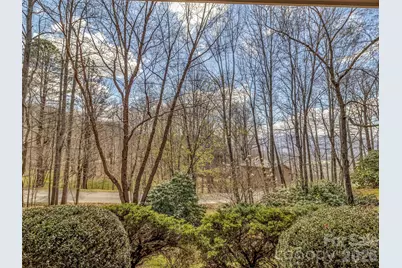 523 Brandywine Road, Waynesville, NC 28786 - Photo 38