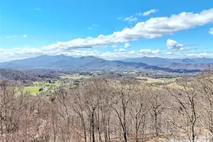 523 Brandywine Rd, Waynesville, NC 28786 - Photo 46